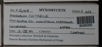 Image Associated With the Occurence